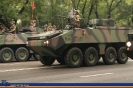 Desfile del Día de la Hispanidad (12 de octubre de 2008)