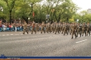 Desfile del Día de la Hispanidad (12 de octubre de 2008)